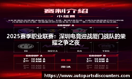 2025赛季职业联赛：深圳电竞迎战厦门战队的荣耀之争之夜